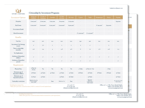 Program Summary Sheet Preview