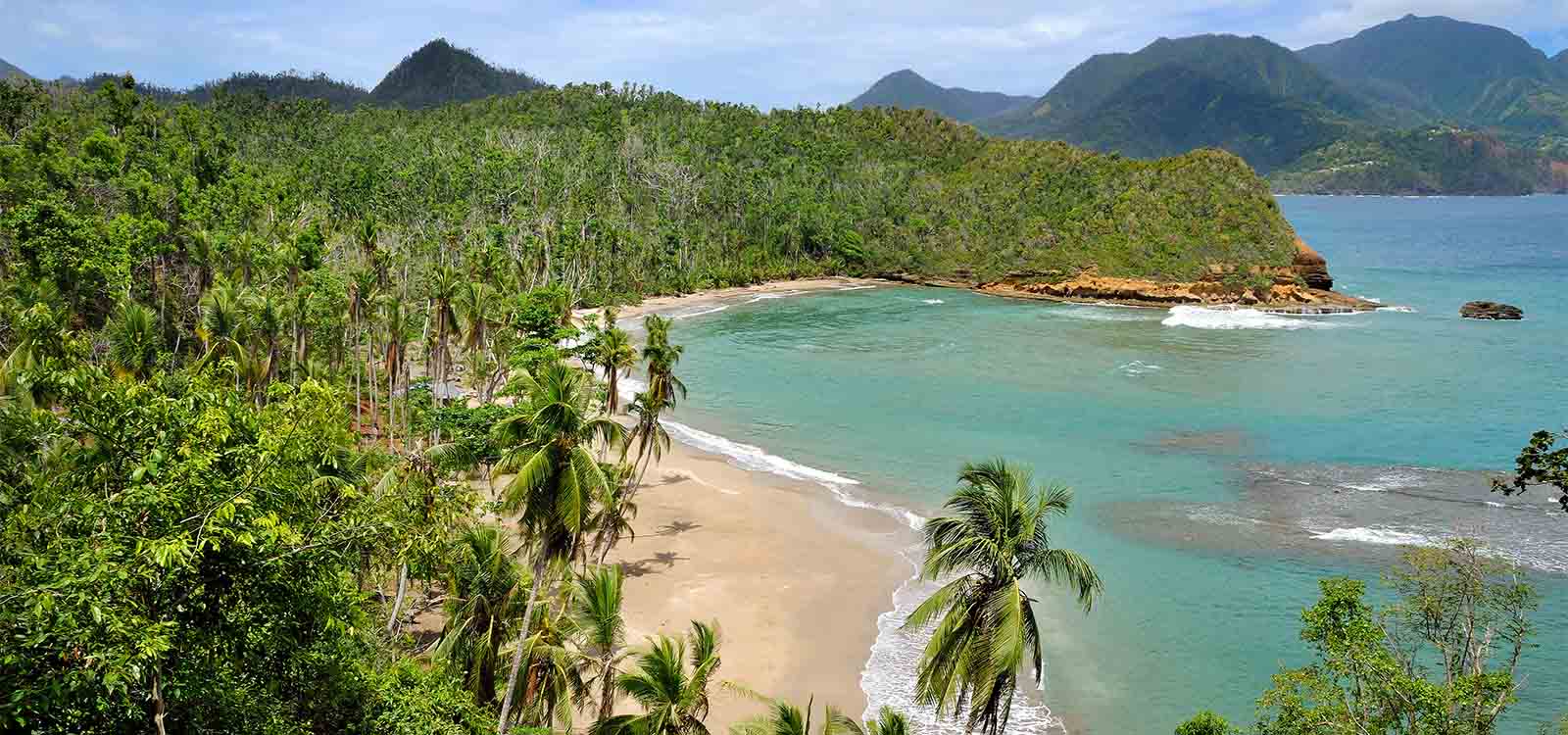 Aerial view of Dominica coast and its tropical forest