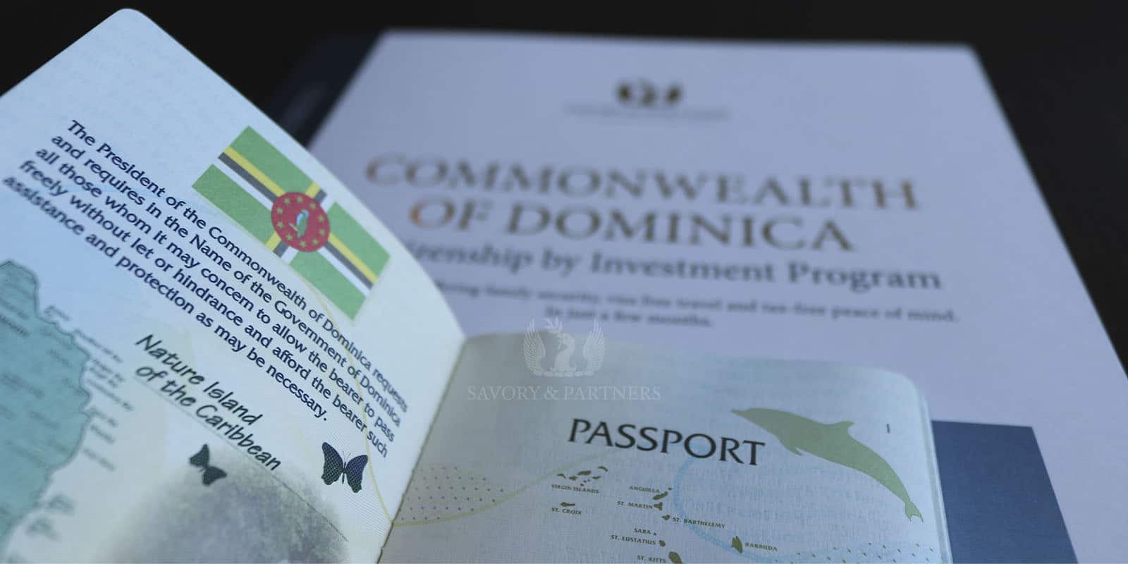 Dominica Citizenship by Investment Program - Savory & Partners