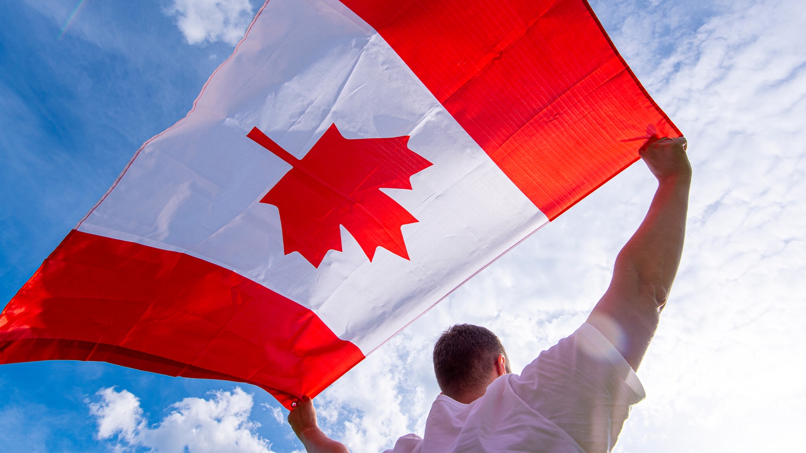 Canada startup visa - Savory & Partners